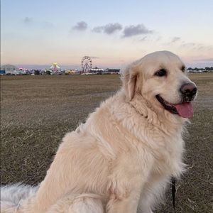 Meet your Posher, Por